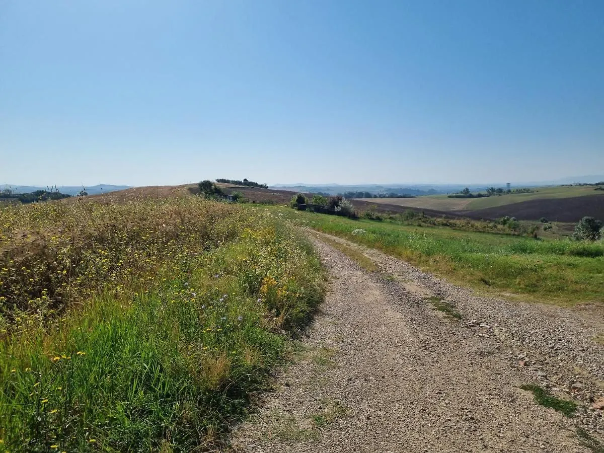 Gli Ulivi Di Siena Villa Italy