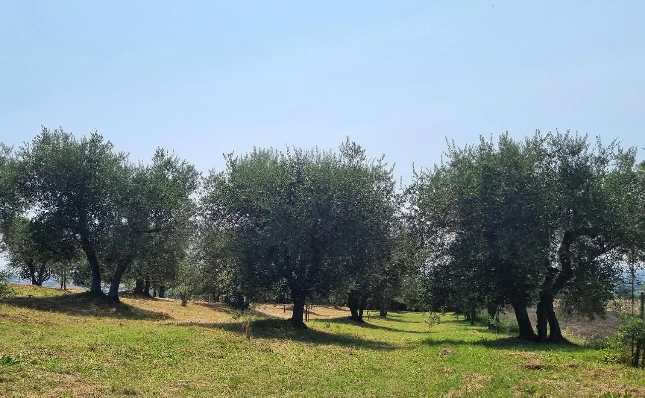 Gli Ulivi Di Siena Villa 0*,  Italy